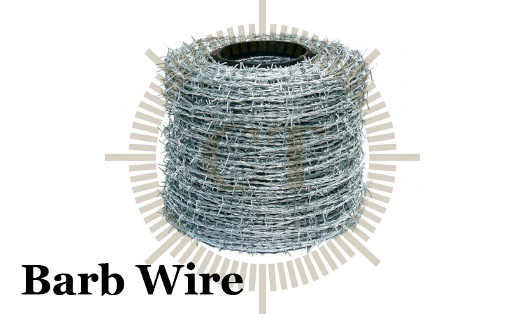 Barb Wire